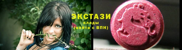 индика Богданович