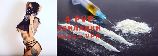 индика Богданович