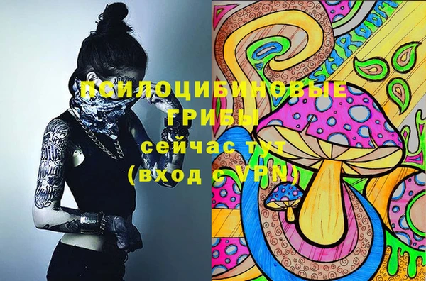 индика Богданович