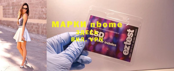индика Богданович