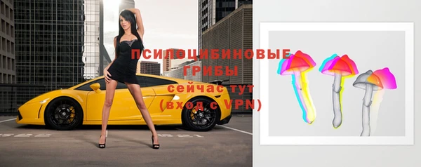 индика Богданович