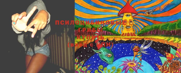 экстази Тавда