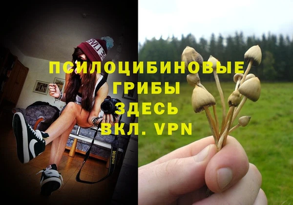 прущий лед Богородицк