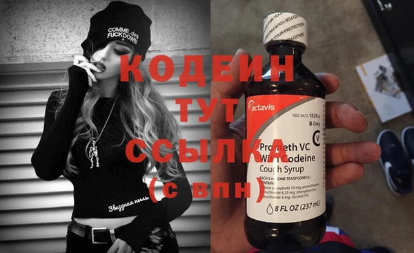 индика Богданович