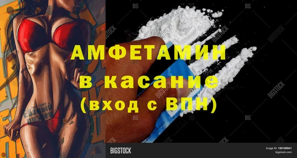индика Богданович