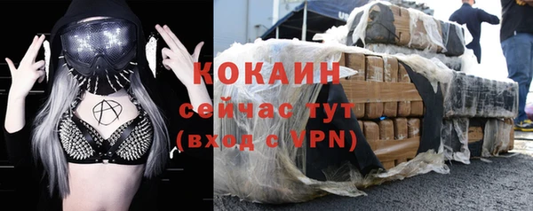 индика Богданович