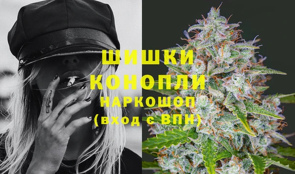 индика Богданович