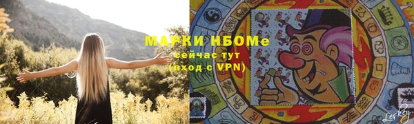 индика Белокуриха