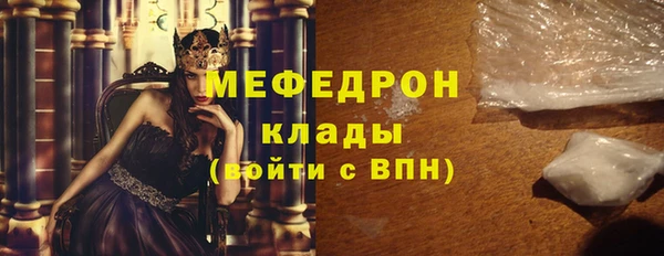 индика Богданович