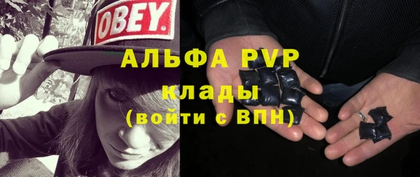 индика Богданович