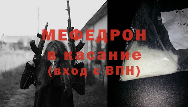 индика Богданович
