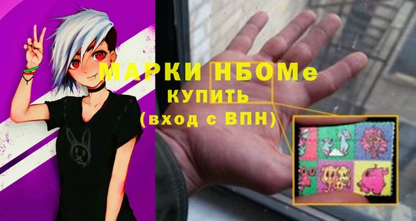 прущий лед Богородицк