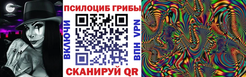 площадка наркотические препараты  дарнет шоп  Крымск  Псилоцибиновые грибы ЛСД 